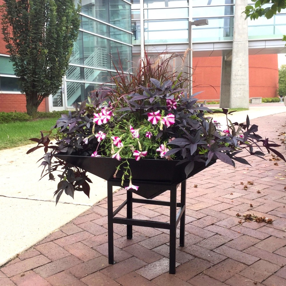 Paragon Small Black Flower Planter