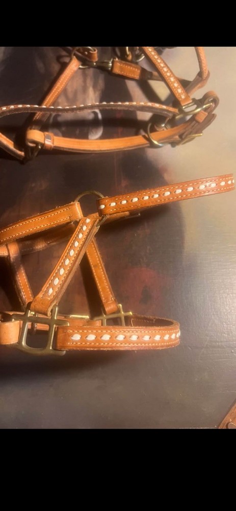 Buckstitched Horse & Foal Halters