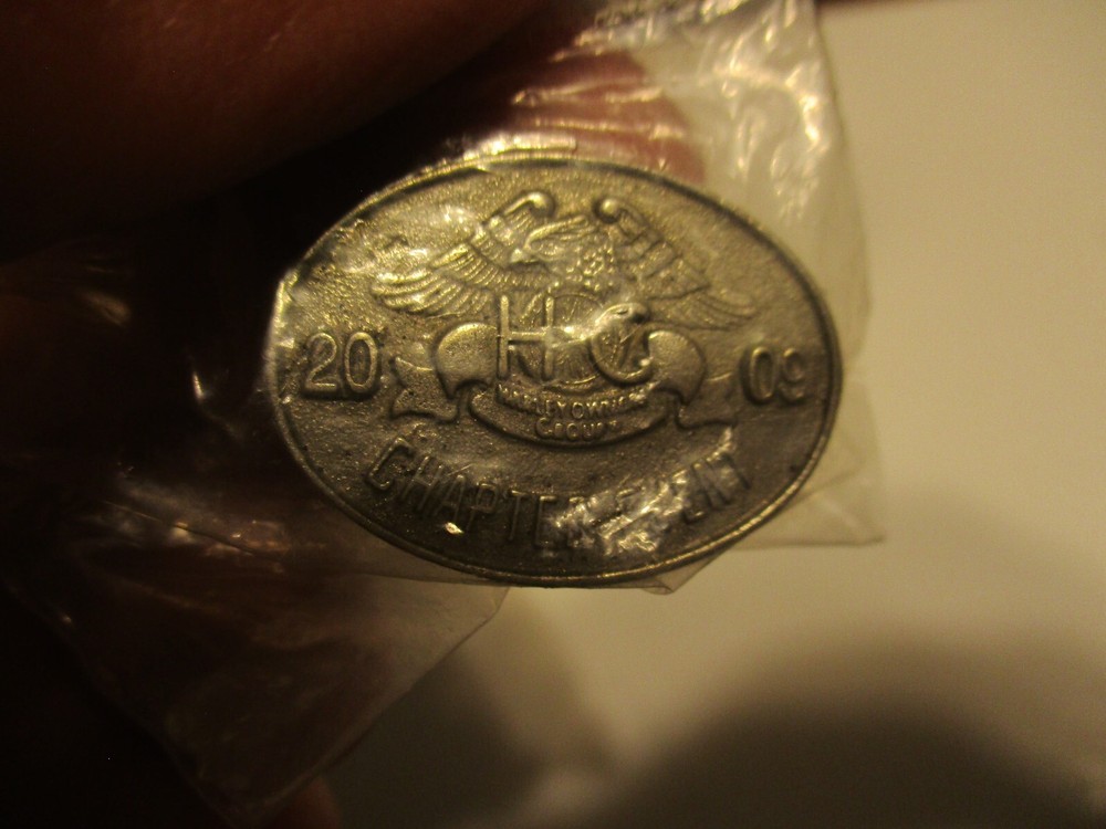 2009 HOG CHAPTER EVENT DAVIDSON OWNERS GROUP NORSCOT OVAL BRAND PIN