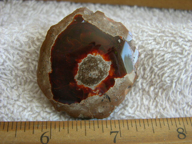 Opal Ethiopian chocolate polished in matrix nut w/multicolor precious fire CF22