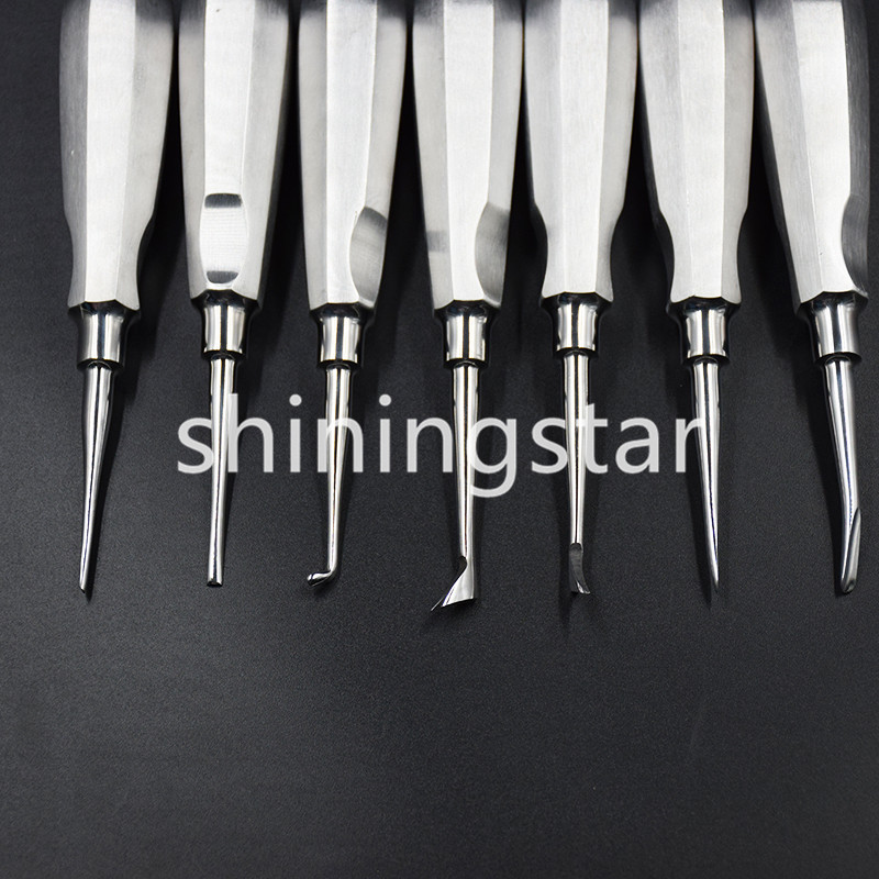 13 Pcs/set Dental Extraction Elevators Luxating Luxation Apical Root Autoclavabl