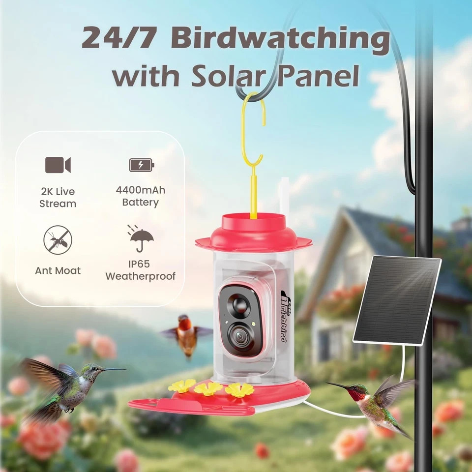 Smart Hummingbird Feeder with Camera Solar Powered, AI Identify, Instant Notific