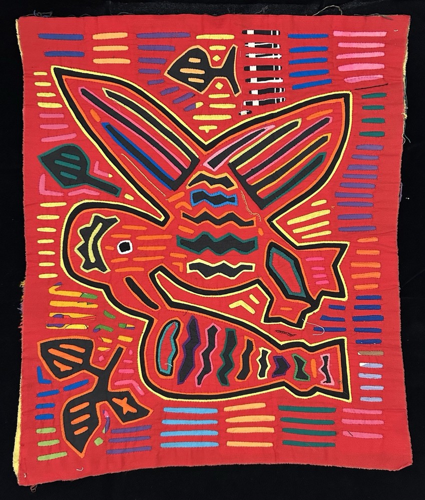 Bird Mola 20 x 17