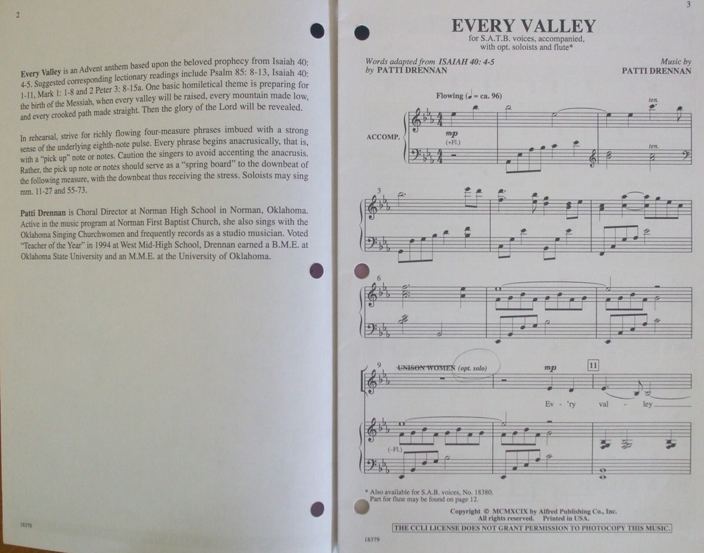 Every Valley (Patti Drennan) ; 5 copies FS