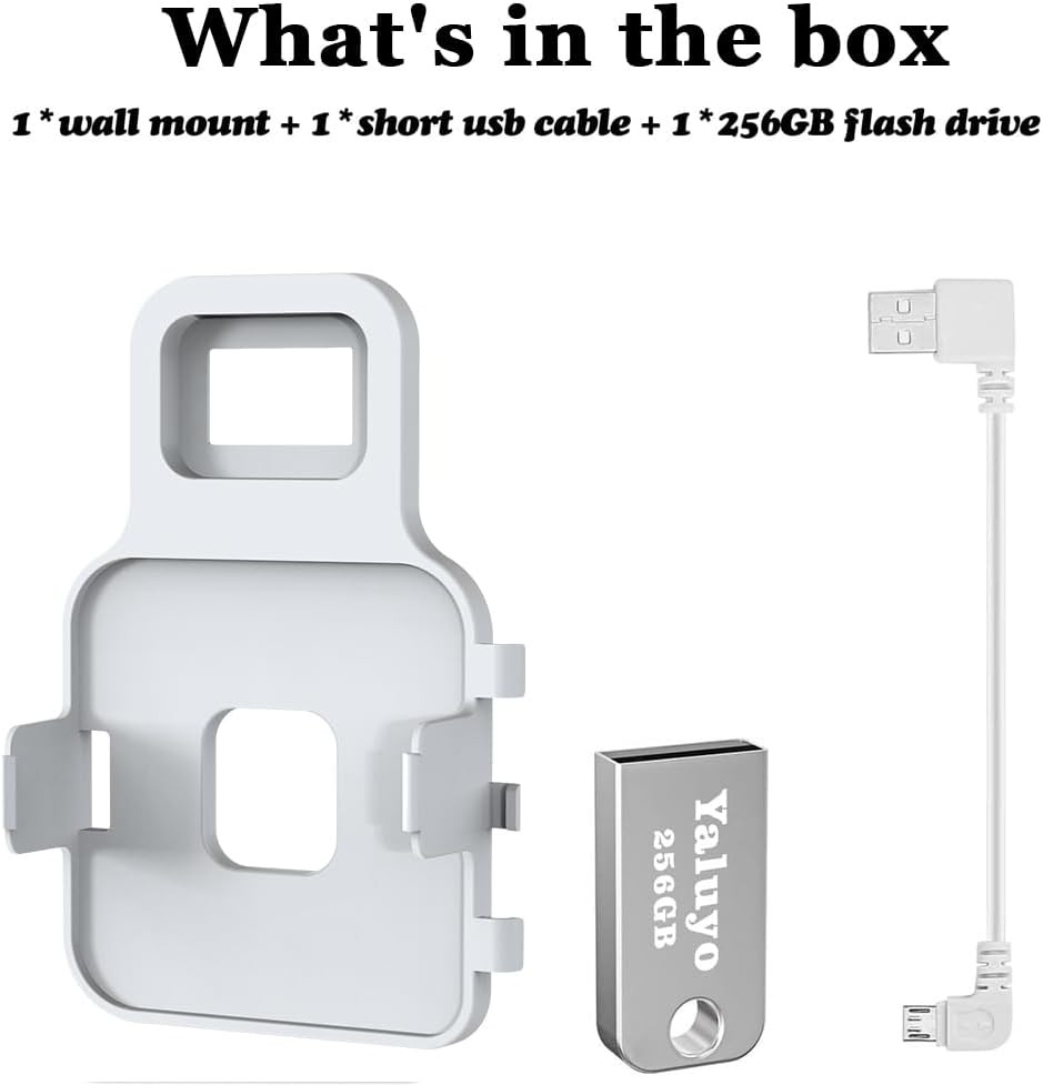 256GB USB Flash Drive& Blink Sync Module 2 Mount, Local Video Storage, Tool-Free