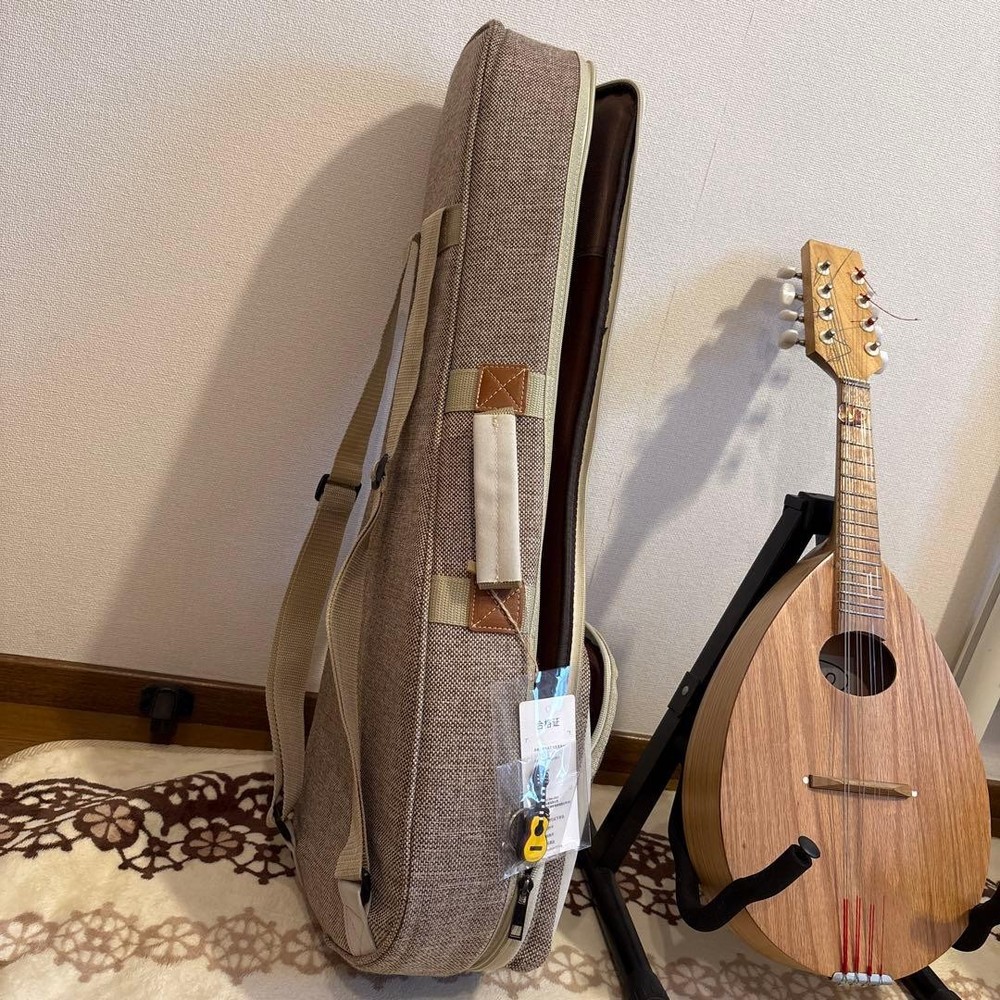 Basiko (flat mandolin) case