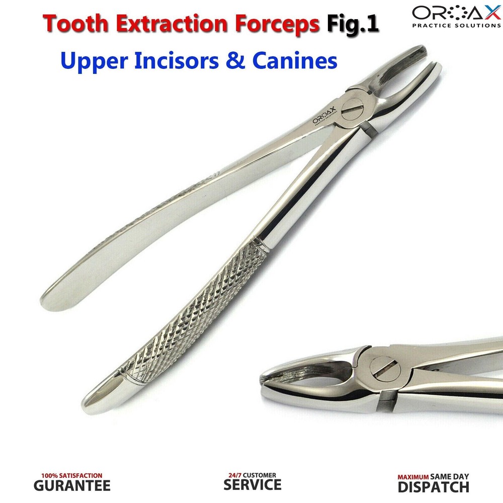 Dental Extraction Forceps Fig 1 Upper Centrals & Canines Tooth Removing