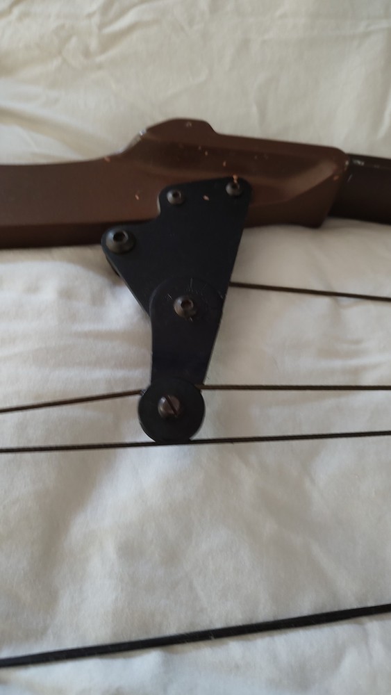 bear compound bow right hand