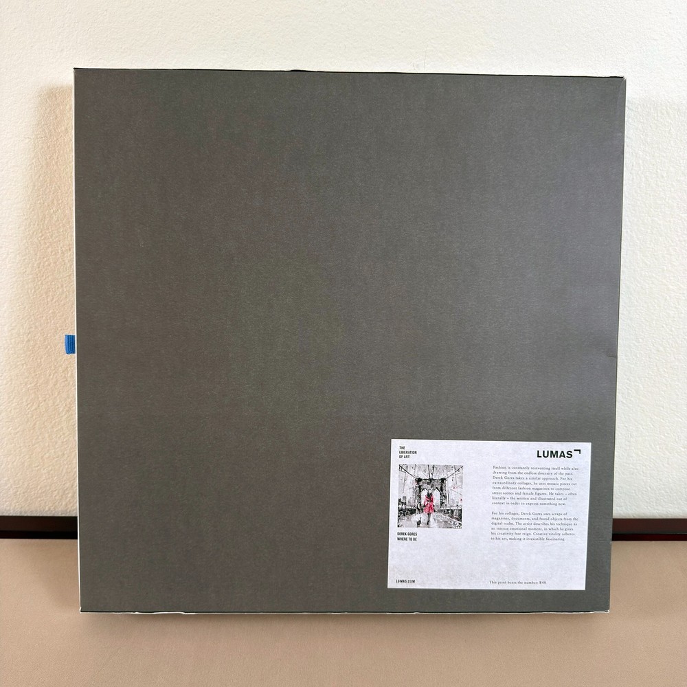 Derek Gores High-Gloss Plexi Print Numbered Edition E48 – COA & Box