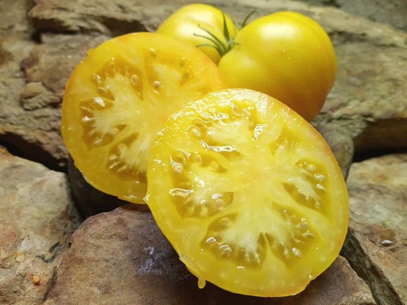 120+ GOLDEN QUEEN TOMATO SEEDS --- HEIRLOOM -- ORGANIC -- NON GMO ------ FRESH