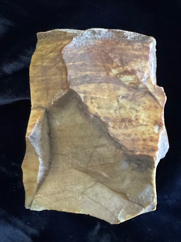 Petrified Wood