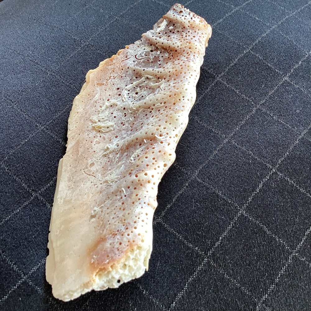 Piece Of Large Shell 7” Long