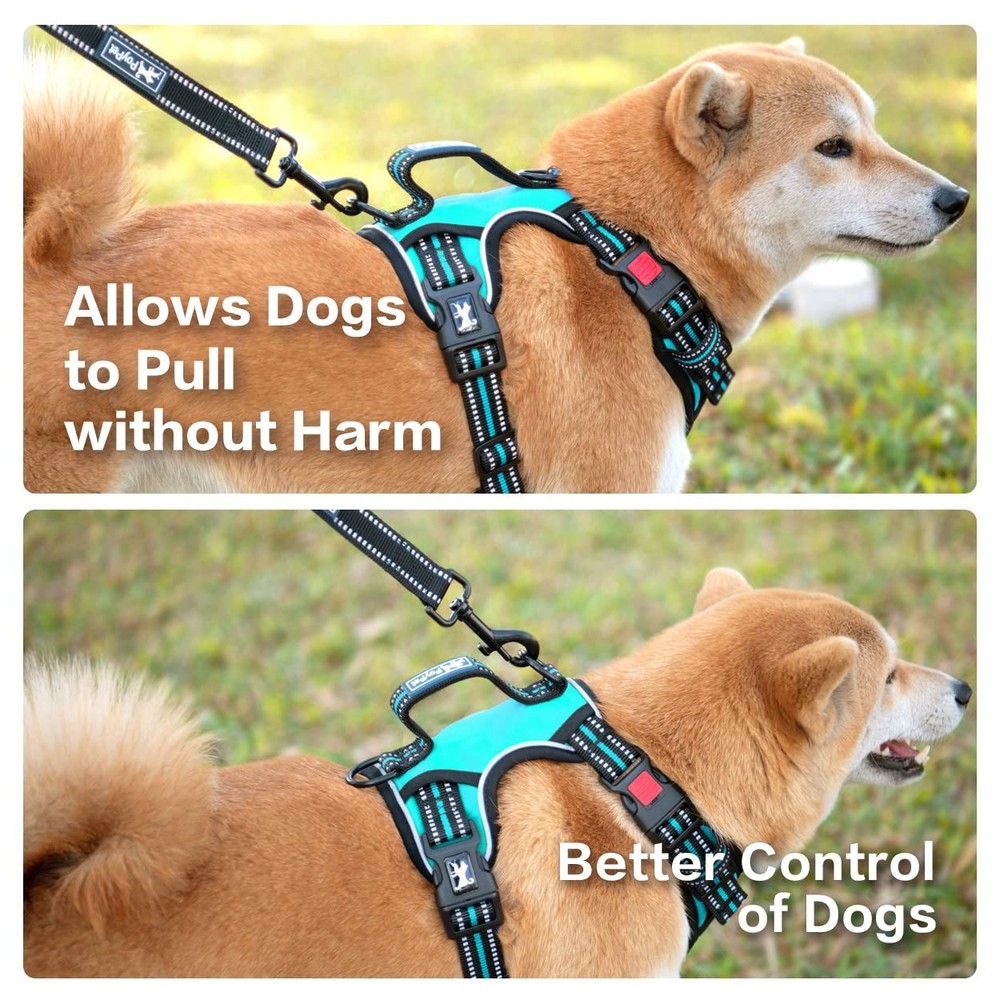 PoyPet No Pull Dog Harness, Choke Front Clip Extra Large, Mint Blue