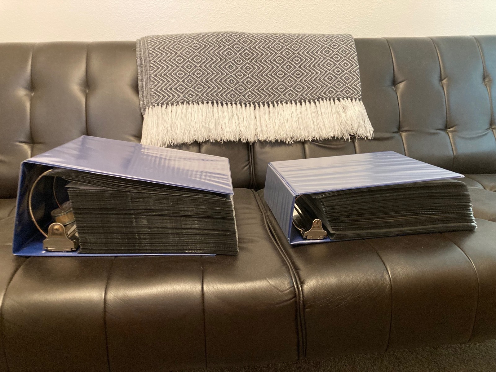 BEAUTIFUL LOT OF STAMP SHEETS IN 2 BINDERS, MOSTLY SHEETS W/ SOME BLOCKS , PAIRS