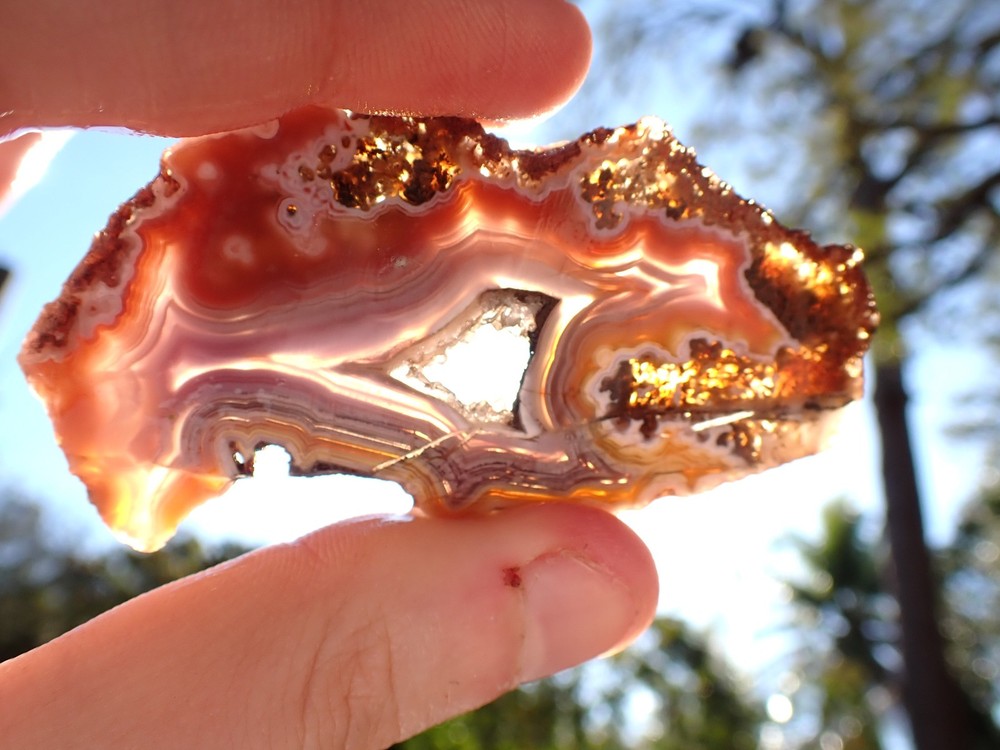 Rare Solid Laguna Agate Rainbow colors Lapidary Slab Parallax