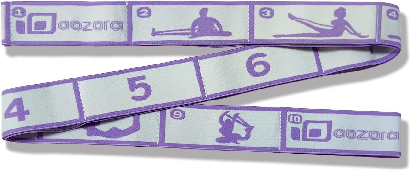 Stretch Bands for Exercise, Elastic Yoga Stretching Strap, Flex Strap 10 Loop...