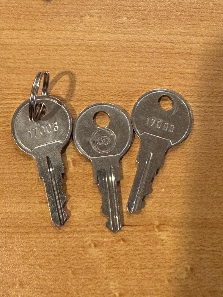 3 Notifier 17003 security Pull Station Control panel key firelite fire alarm aDt