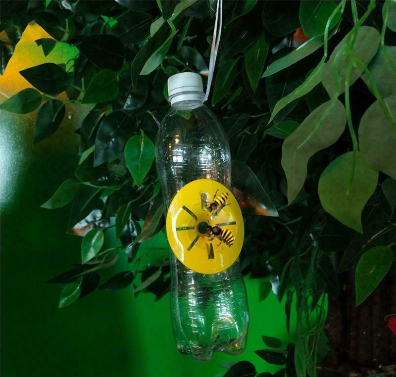 25 Garden Bee Trap