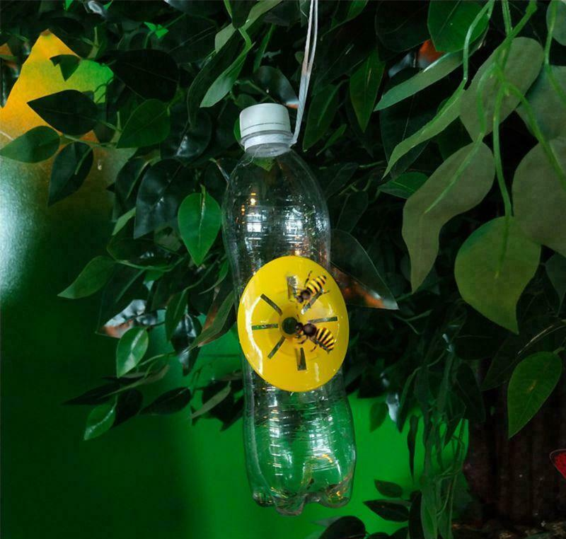 25 Garden Bee Trap