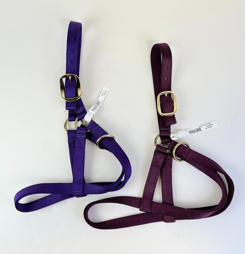 TWO(2) Basic Adjustable Nylon Yearling Halter Purple & Burgundy - Brand New