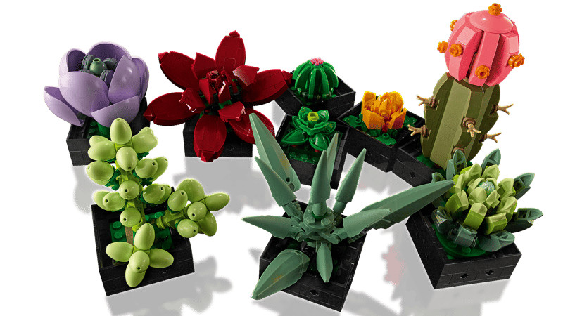 LEGO Botanicals: Succulents (10309)