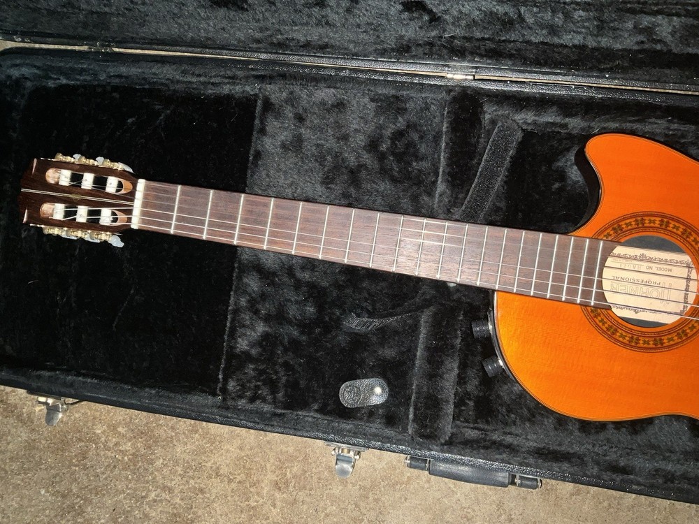 Hohner HAG 21 professional level thin solid body classical-electric guitar /case