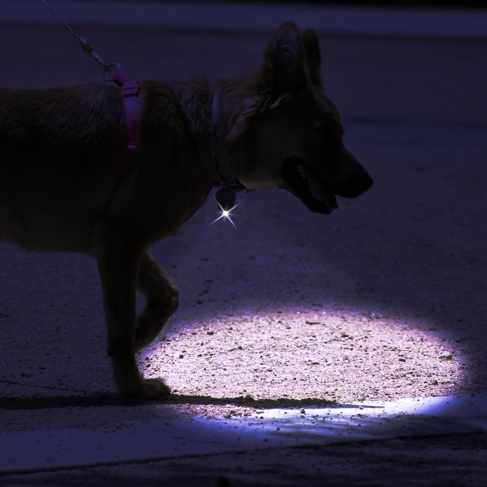 12 Pack Ultra Bright Mini LED Keychain Flashlight, Small Key Ring Flashlight,...