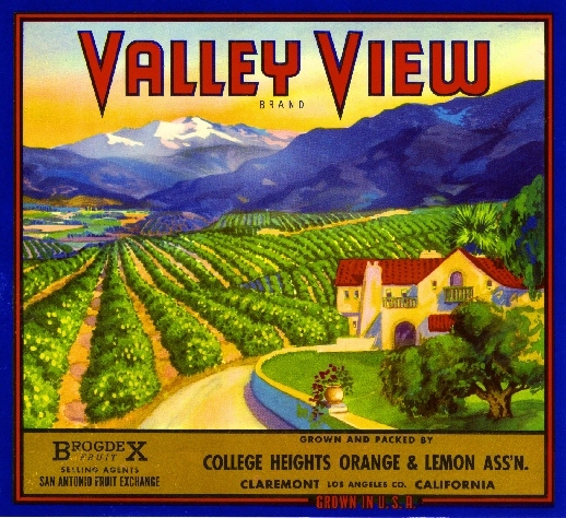 Claremont Los Angeles County Valley View Orange Citrus Fruit Crate Label Print