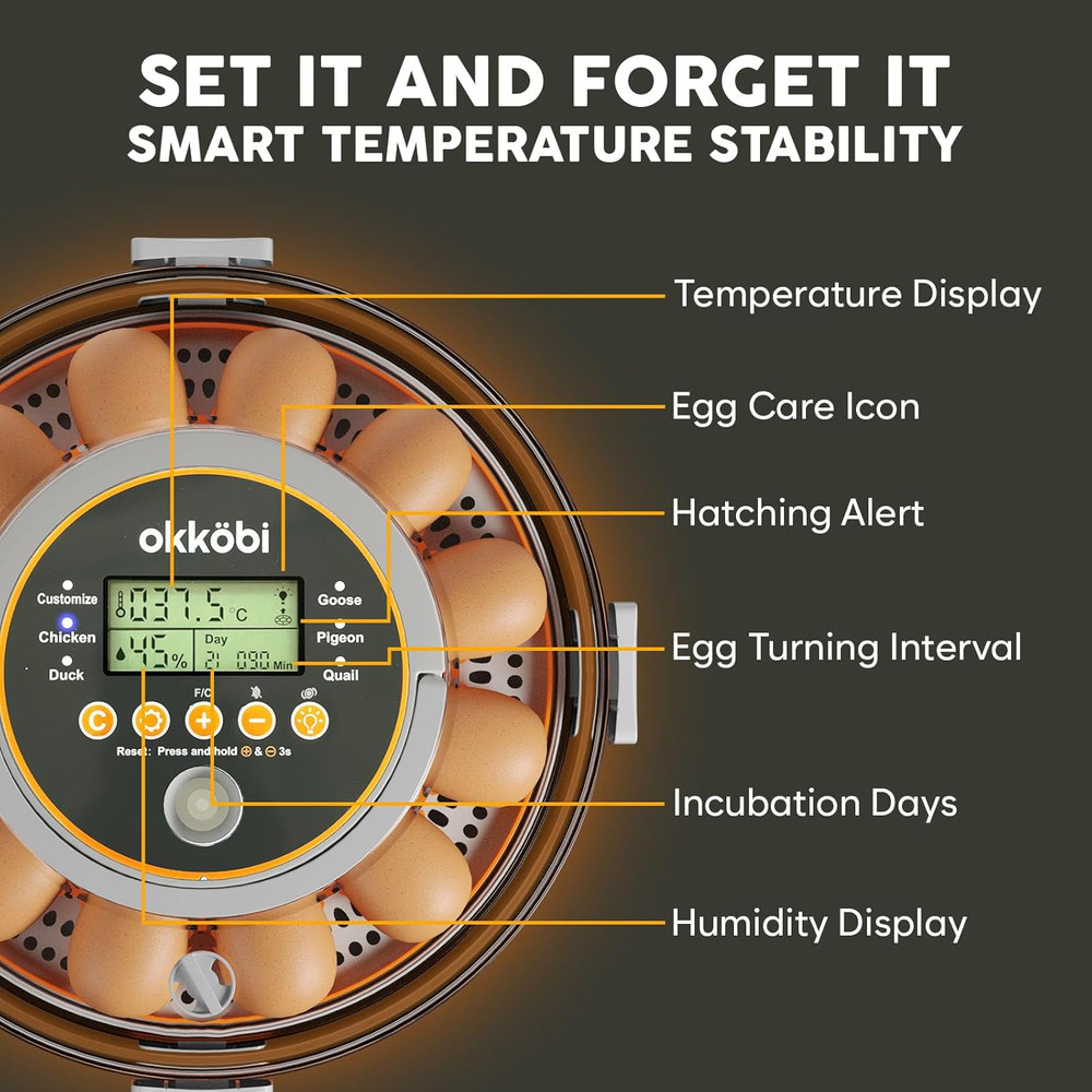 12 Egg Incubator with Automatic Egg Turning and Humidity Control – Temperature A
