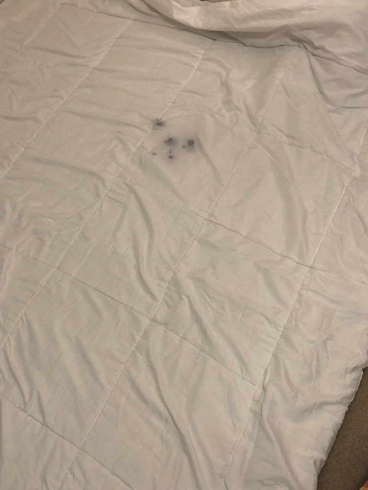TwinXL White Duvet Insert