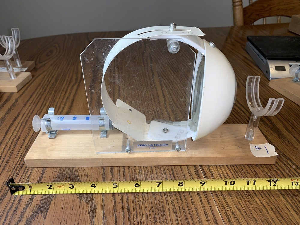 Leno Lab Sweden Functioning Eye Model Educational Tool Optometrist School #1