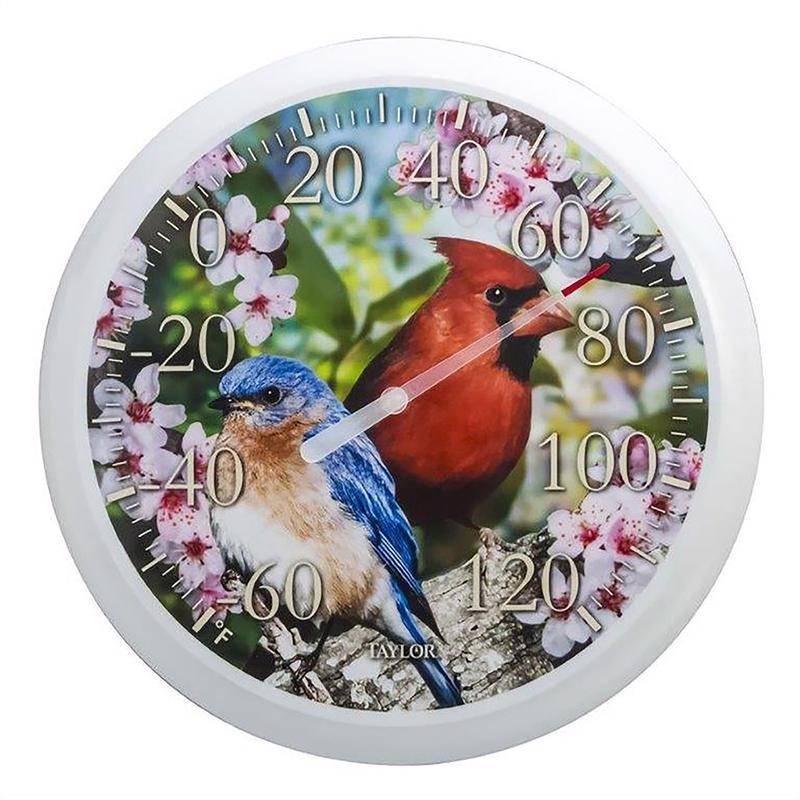 Taylor Cardinal/Bunting Dial Thermometer Plastic Multicolored