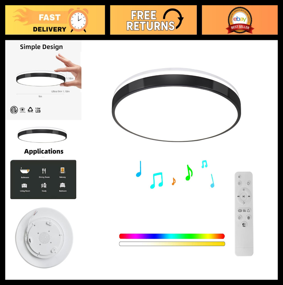 24W LED Flush Mount Ceiling Light with Bluetooth Speaker & Remote Control, RGB C