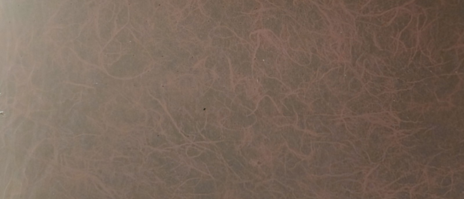 Creative Memories 10 X 12 and 12x12 Photo Mount Paper & Paper Sets-NEW