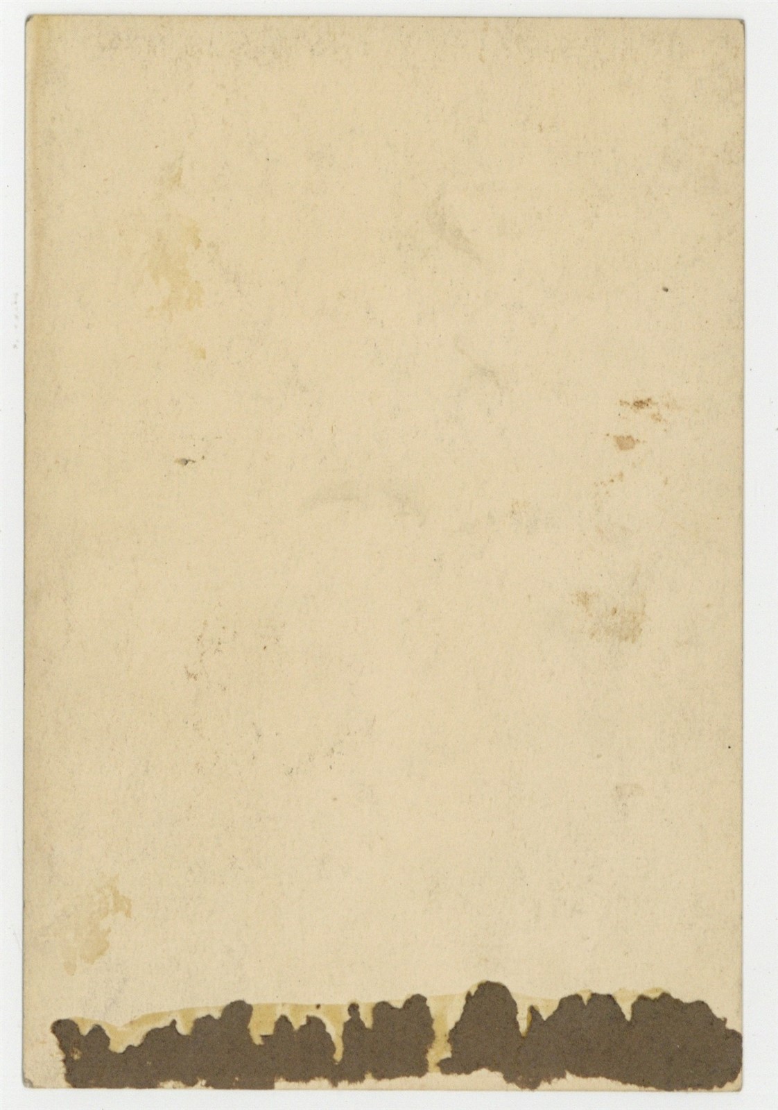 African American Female Mandolin Guitarist 1900 Black Blues Musician Photo 14658