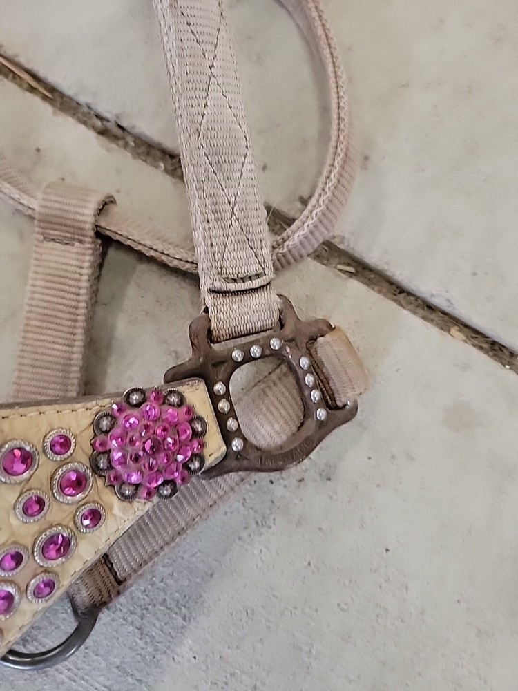 Horse Halter
