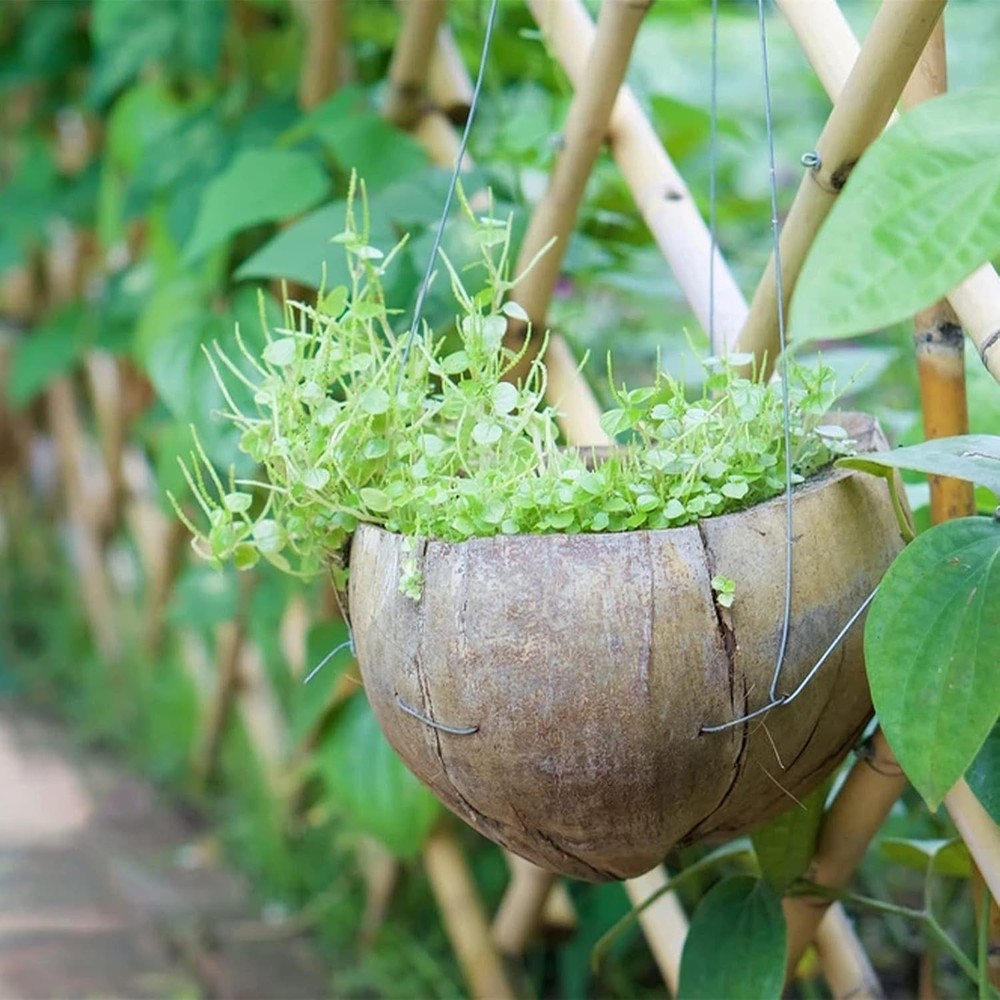 19 Gauge Galvanized Solid Wire,98ft Hobby Wire,Multi-Purpose...