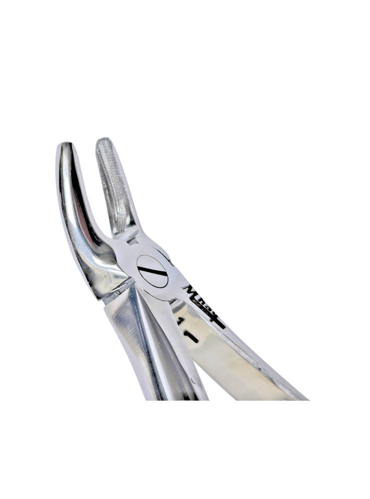 Dental Extraction Curved Forceps 7"