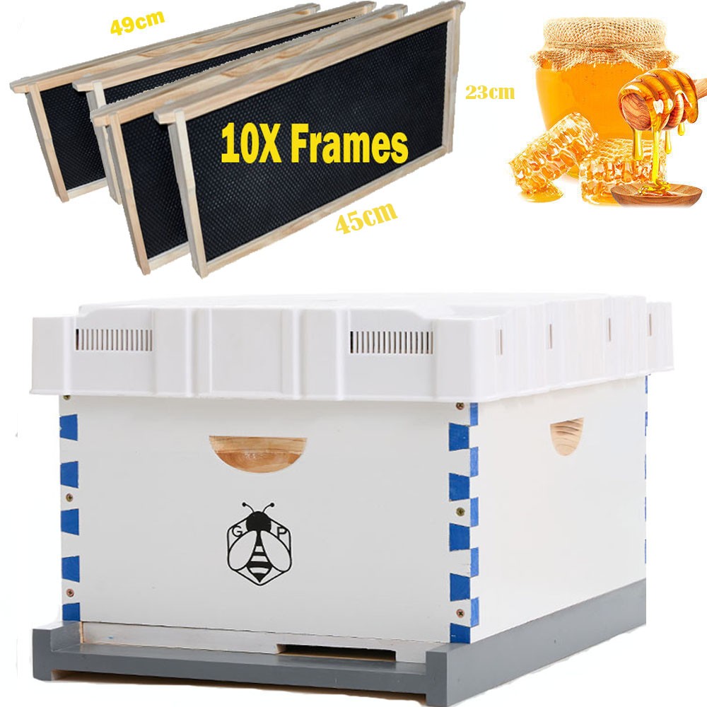 Langstroth Beehive Kit 10 Frame Box brood House +10 Deep Frames Comb Beekeeping