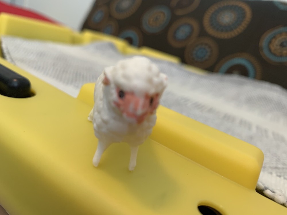 Plastic White Sheep. Number 915.