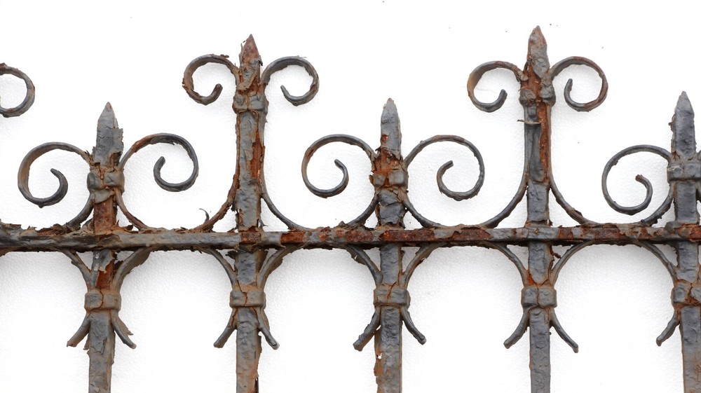 Wrought Iron Fence with Attached Gate