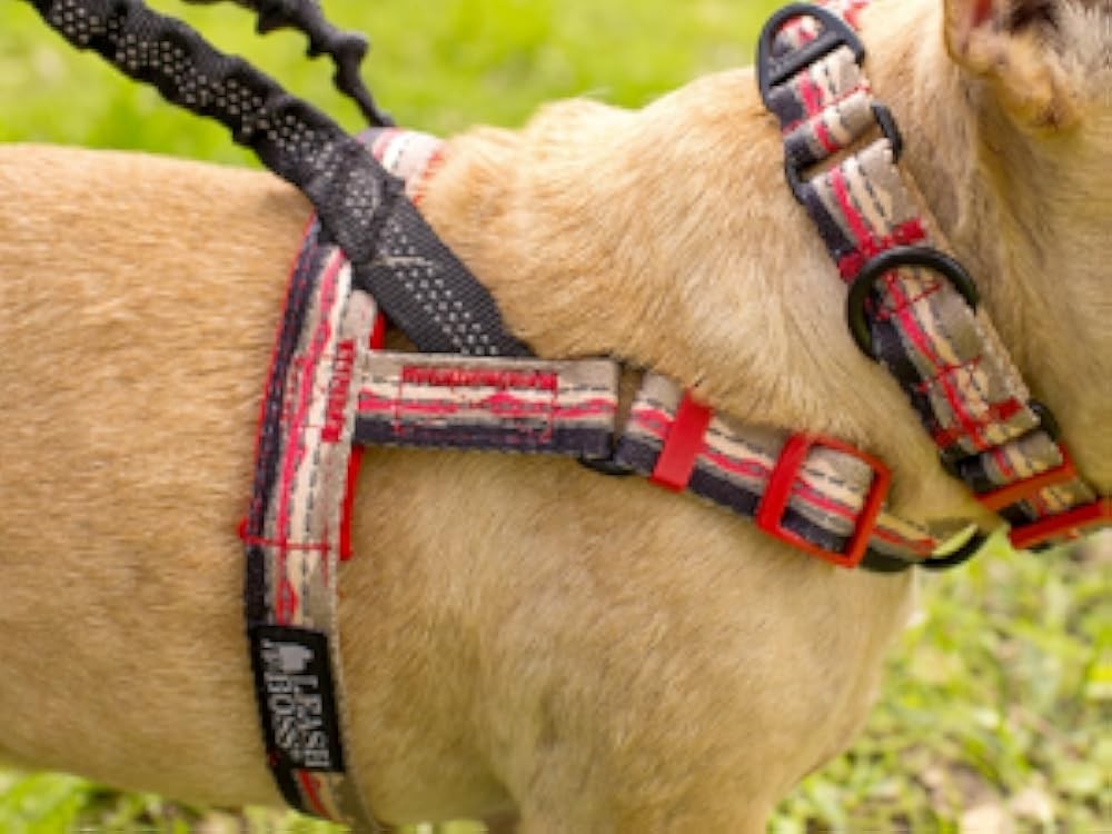 Leash No Pull Dog Harn, Easy Walk for Small, Medium, and Lar
