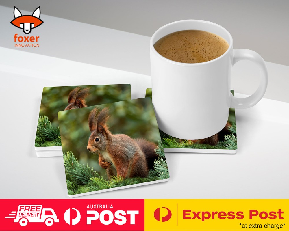 COASTER COFFEE DRINKING MAT|CUTE ADORABLE SQUIRREL RODENT #28