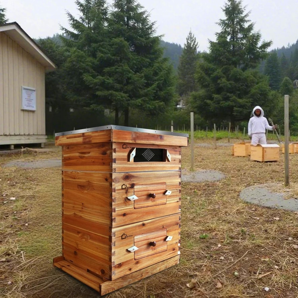 3 Layer Beekeeping Starter Hive 2 Deep 1 Medium 10 Frame Cedarwood Kit w/ Window