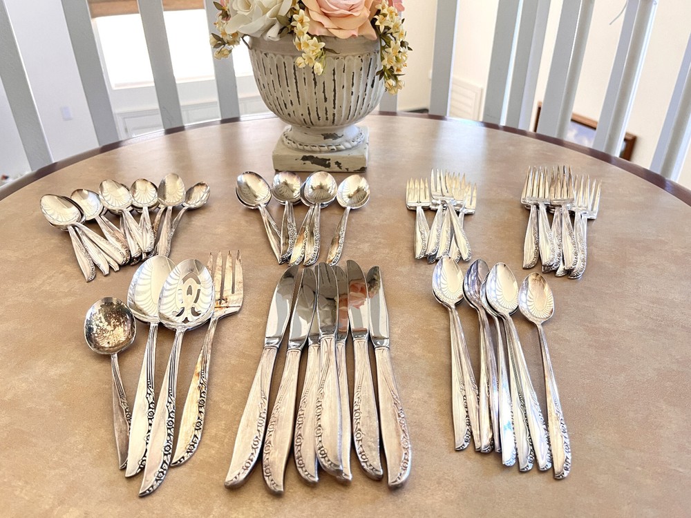 55 Pcs Oneida LTD WM.A. Rogers BRITTANY ROSE Silverplate Silverware Flatware Set