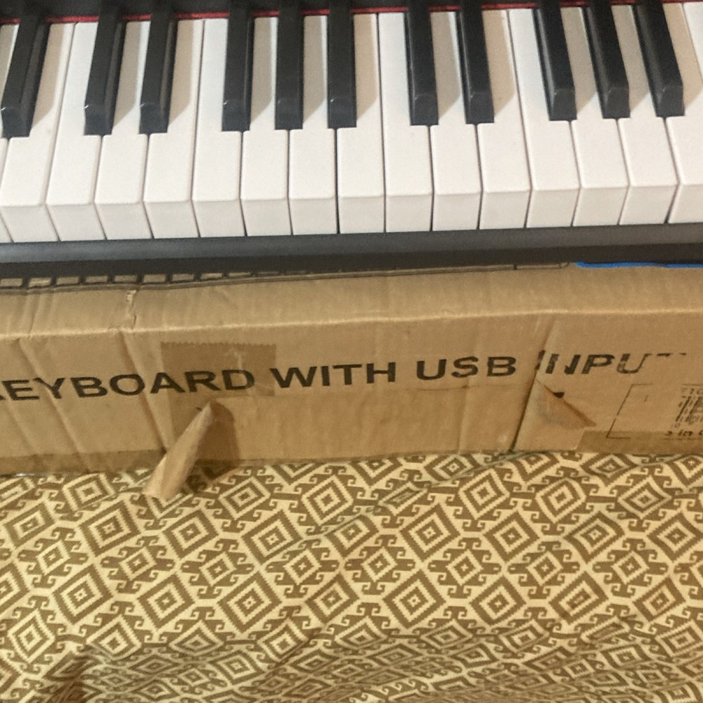 Plixio CE1985 61-Key Electronic Keyboard USB Input LED Screen MP3 200 Rhythms