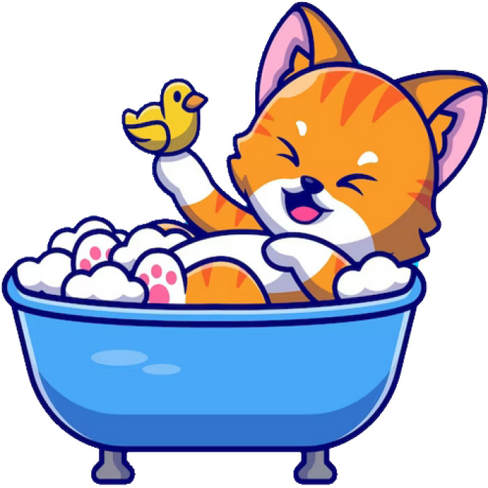 30 Custom Kitten Bath Personalized Address Labels
