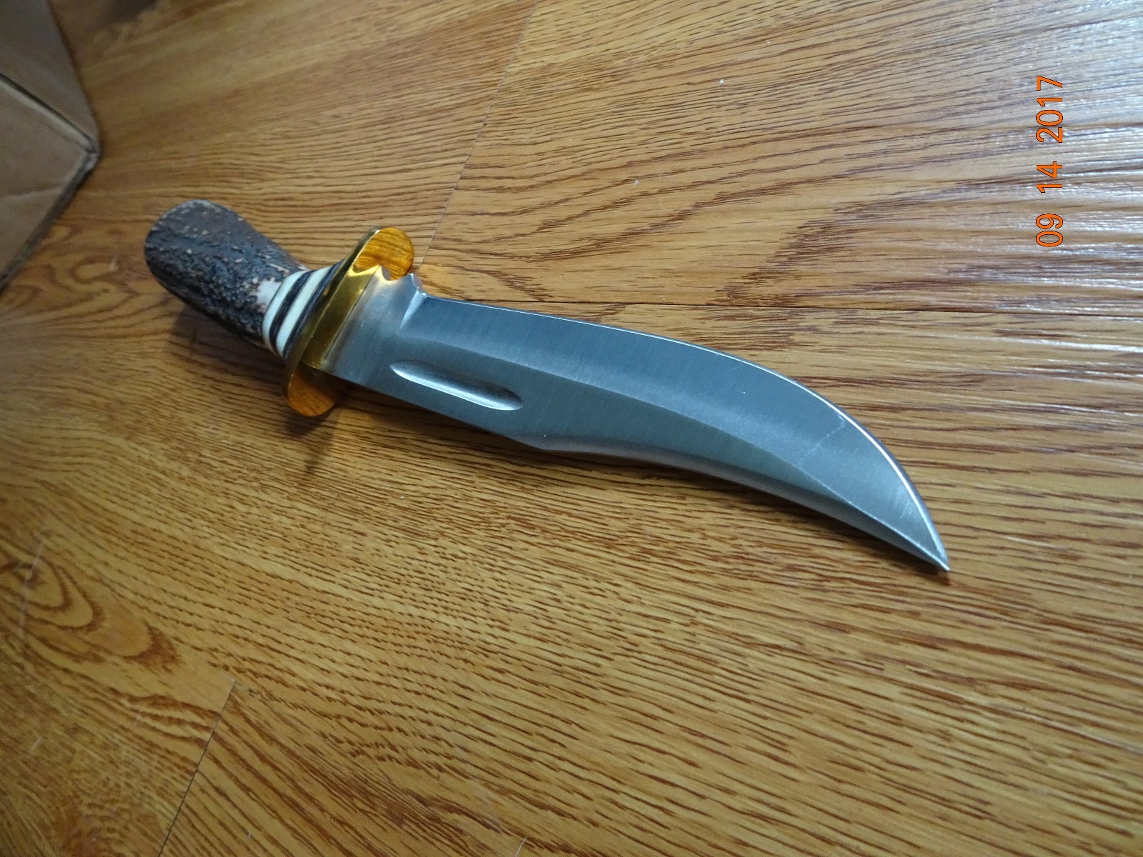 STEEL STAG 10 1/2' FIXED BLADE KNIFE ELK ANTLER HANDLE 440S.S. BLADE LEATHER SHE