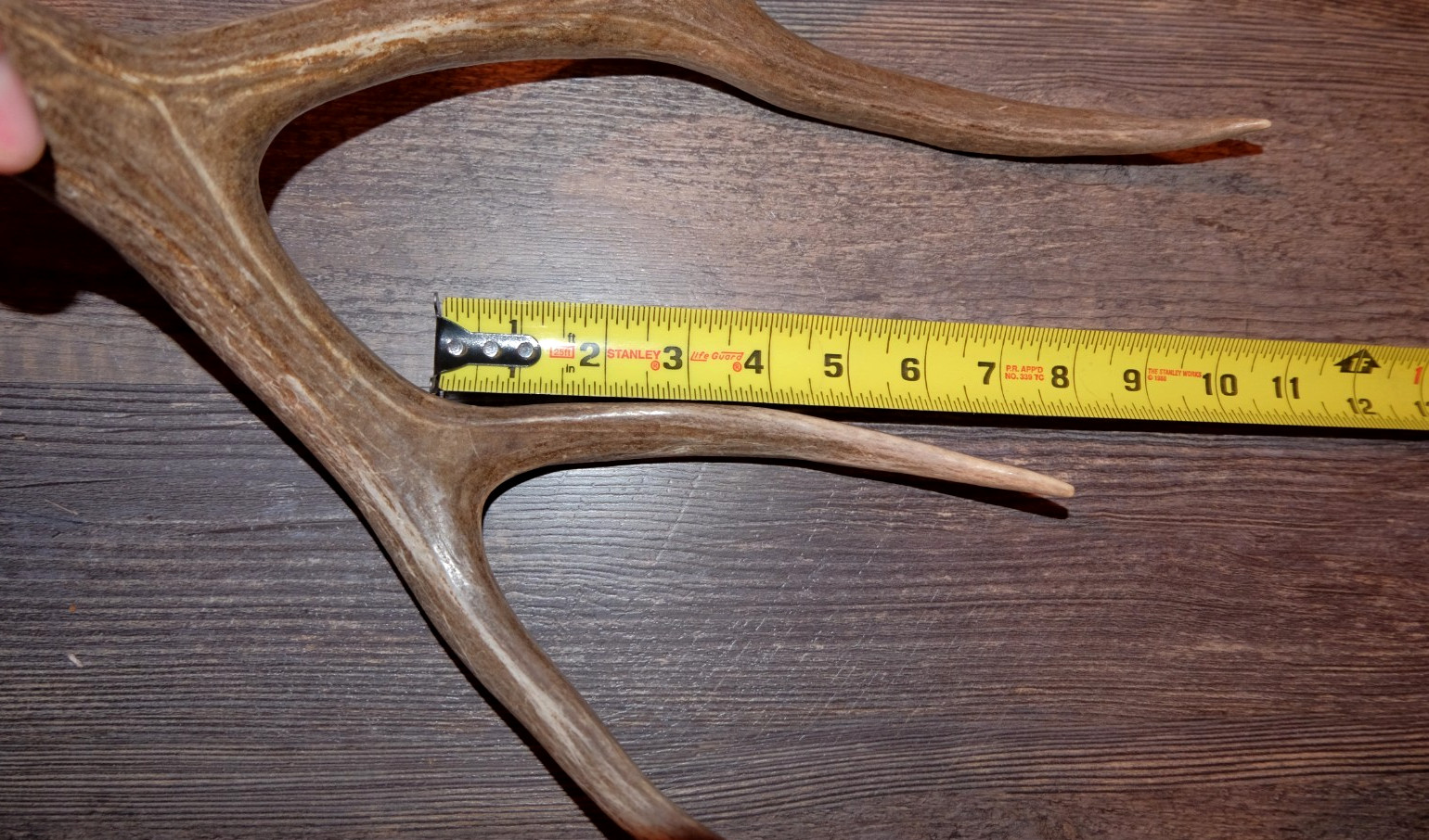 Nice Set Mule Deer Antlers Sheds Taxidermy Mount Cabin Decor Buck Horns