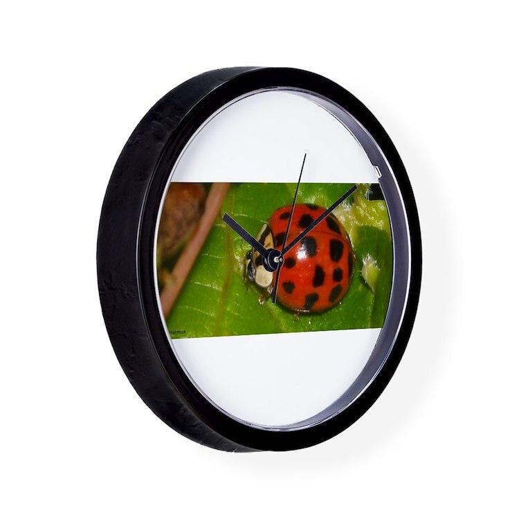 CafePress Ladybug On Leaf 10" Wall Clock (484130662)